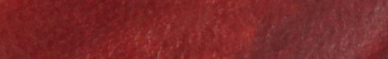 Angelus Leather Dye – Bismark Brown, manufacturer colour sample