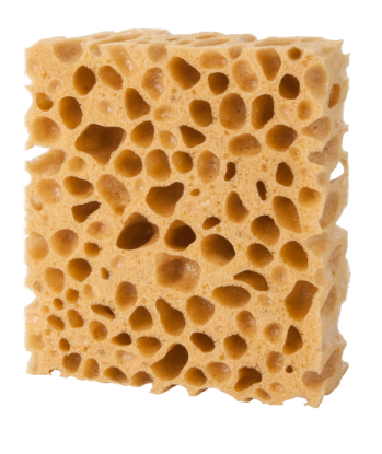 Pedag Sponge